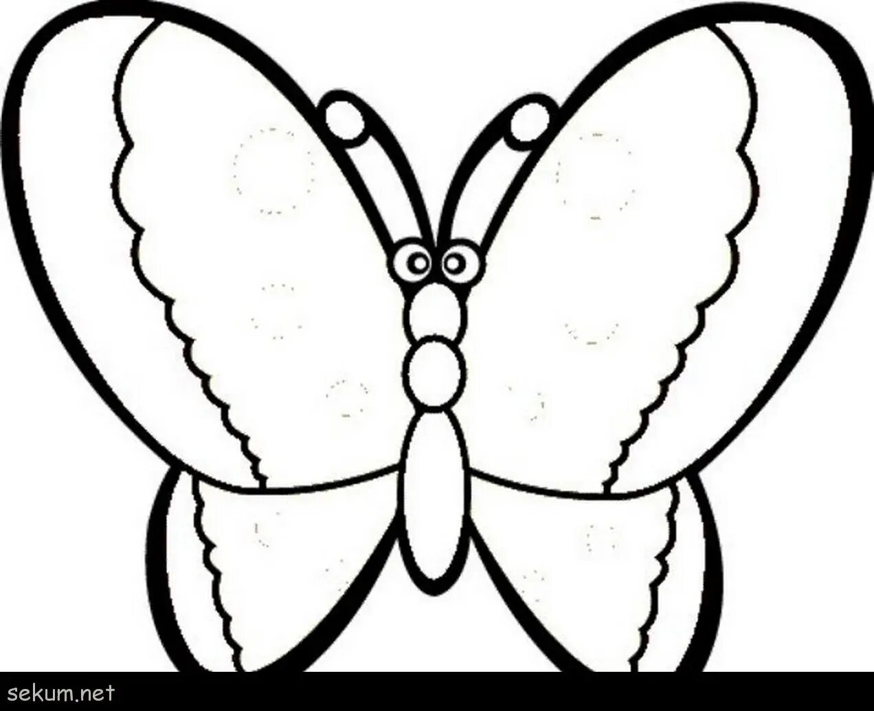 Coloring book cheerfully illuminated butterfly