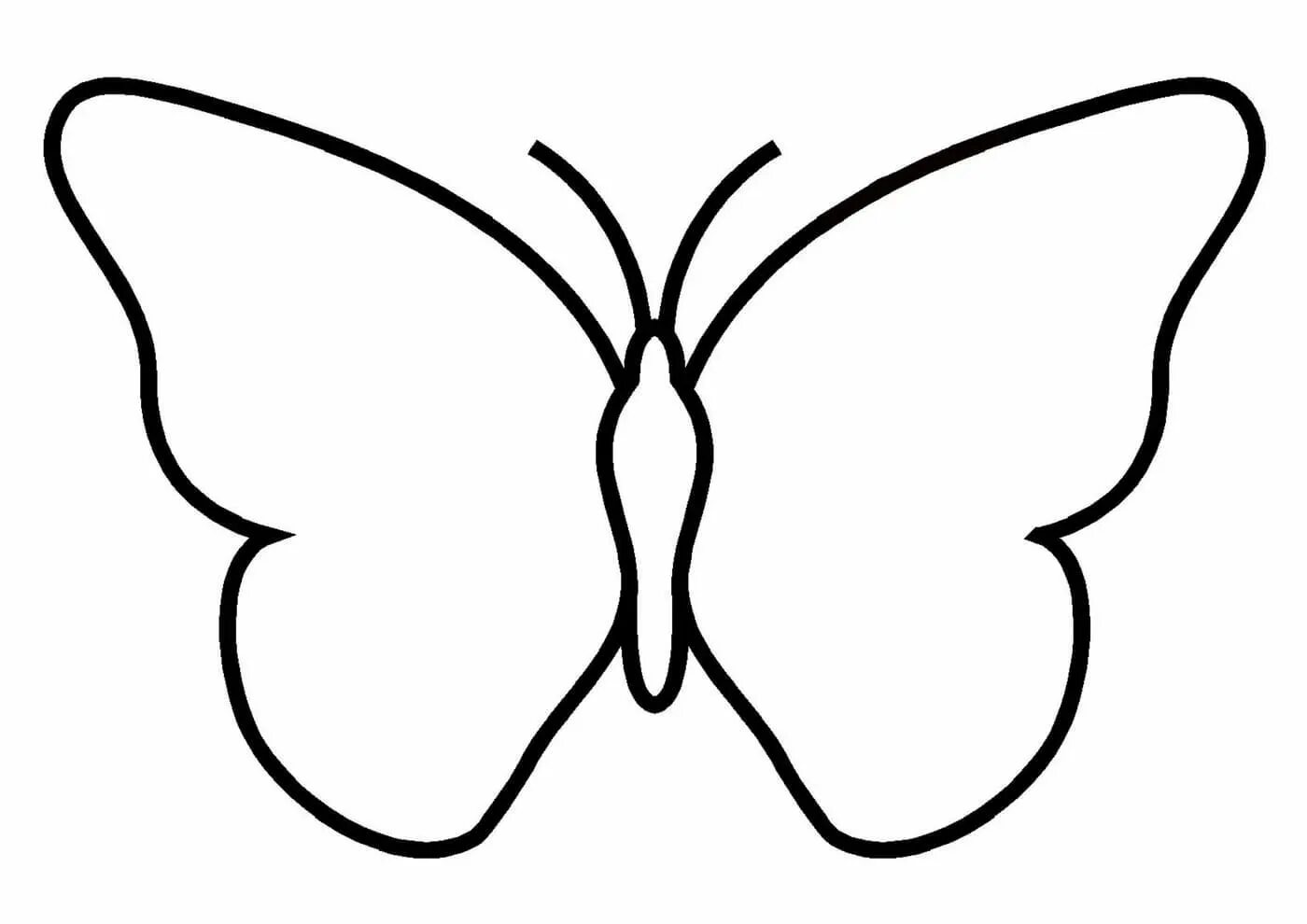 Ярко окрашенная страница раскраски бабочек