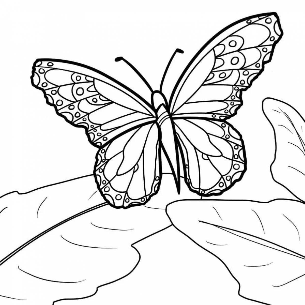 Brightly colored butterfly coloring page