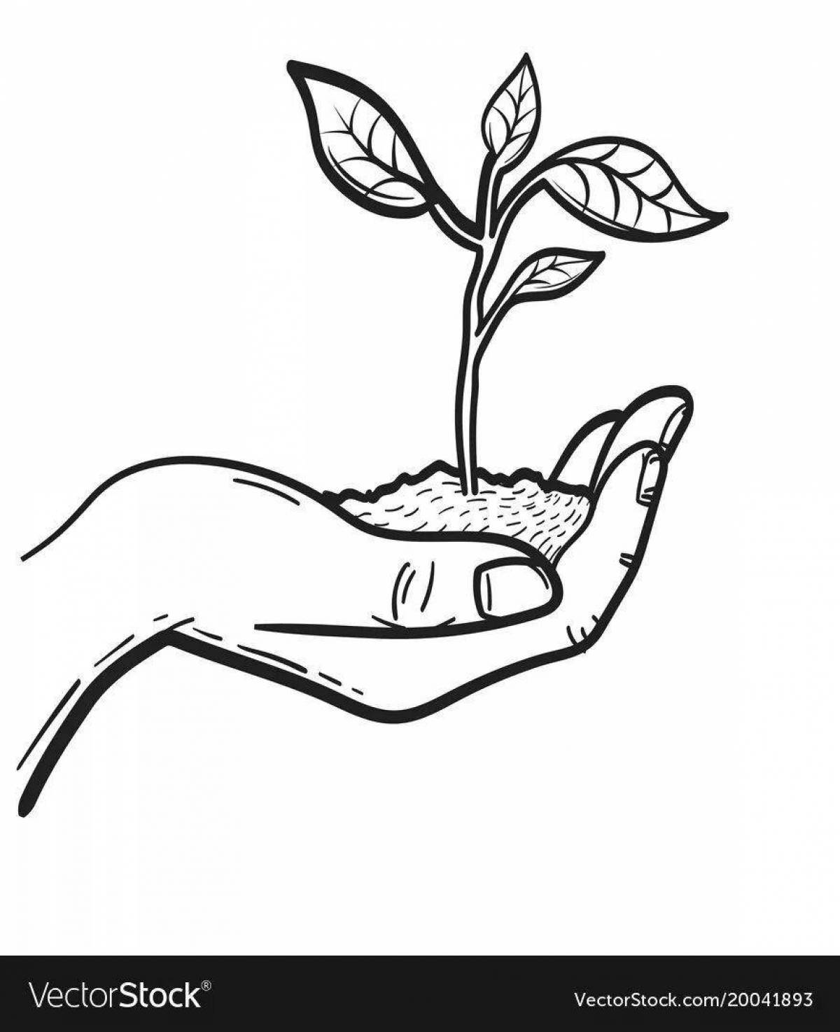 Coloring page live plant care