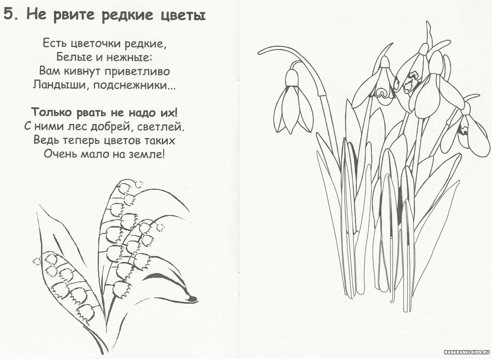 Brilliant plant care coloring book