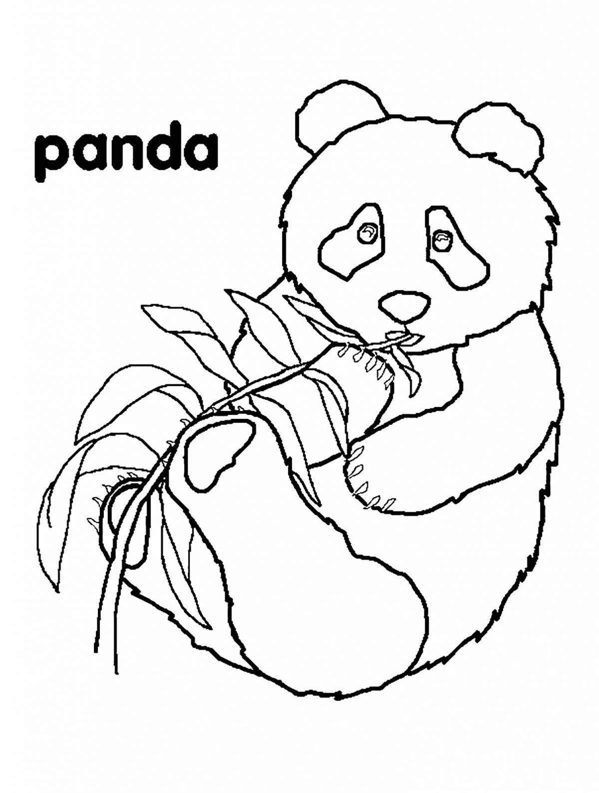 Sweet panda bear coloring book