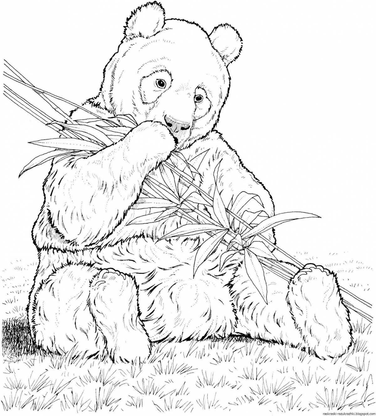 Puffy panda bear coloring book