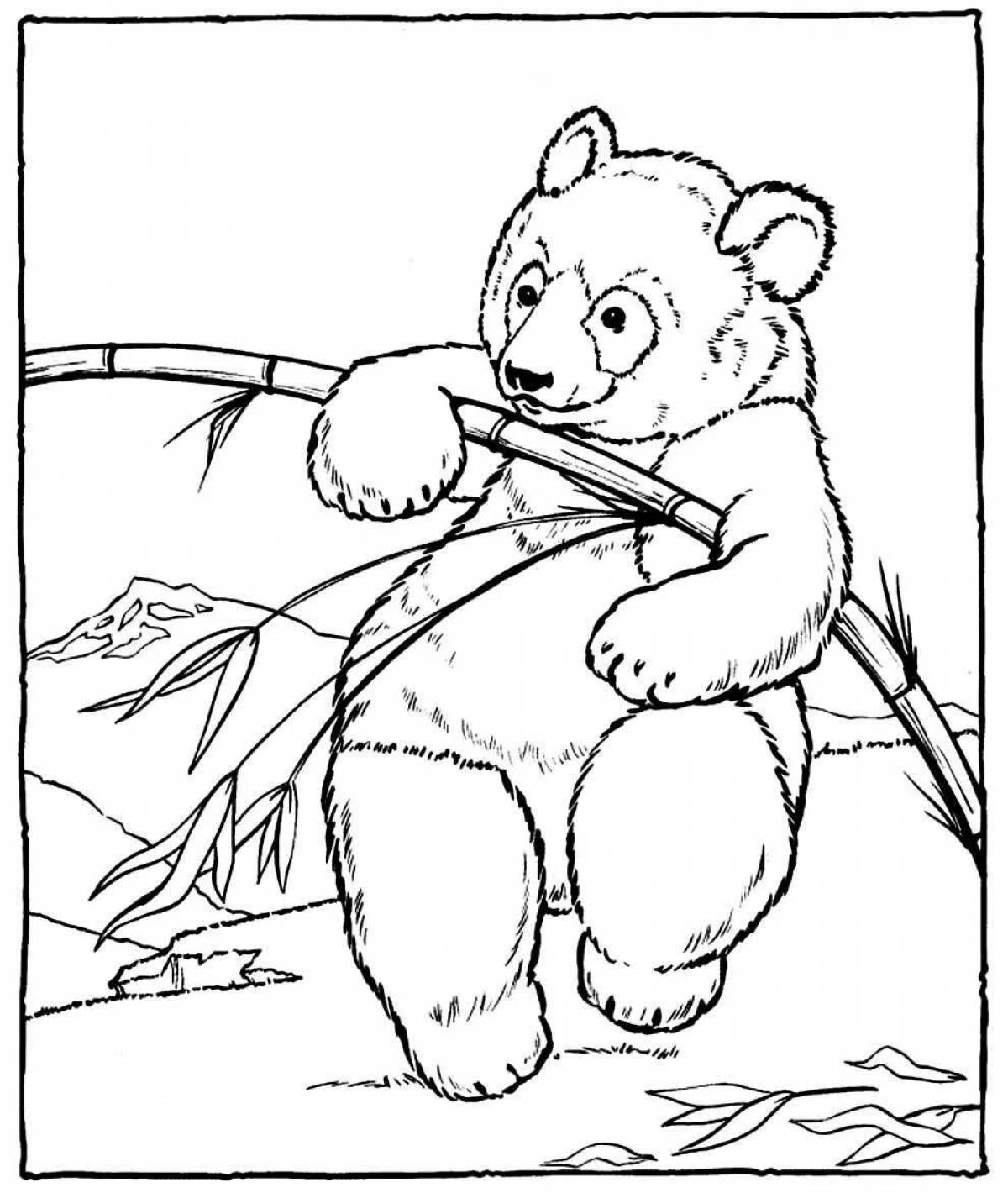Дружелюбная раскраска медведь панда