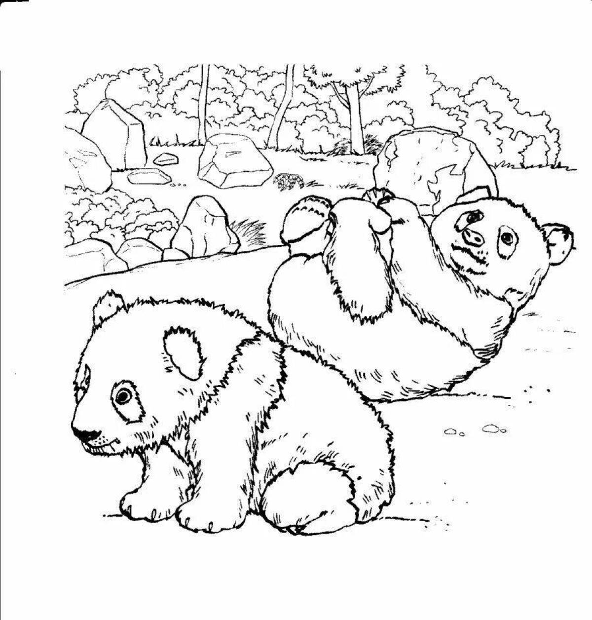 Fun coloring panda bear