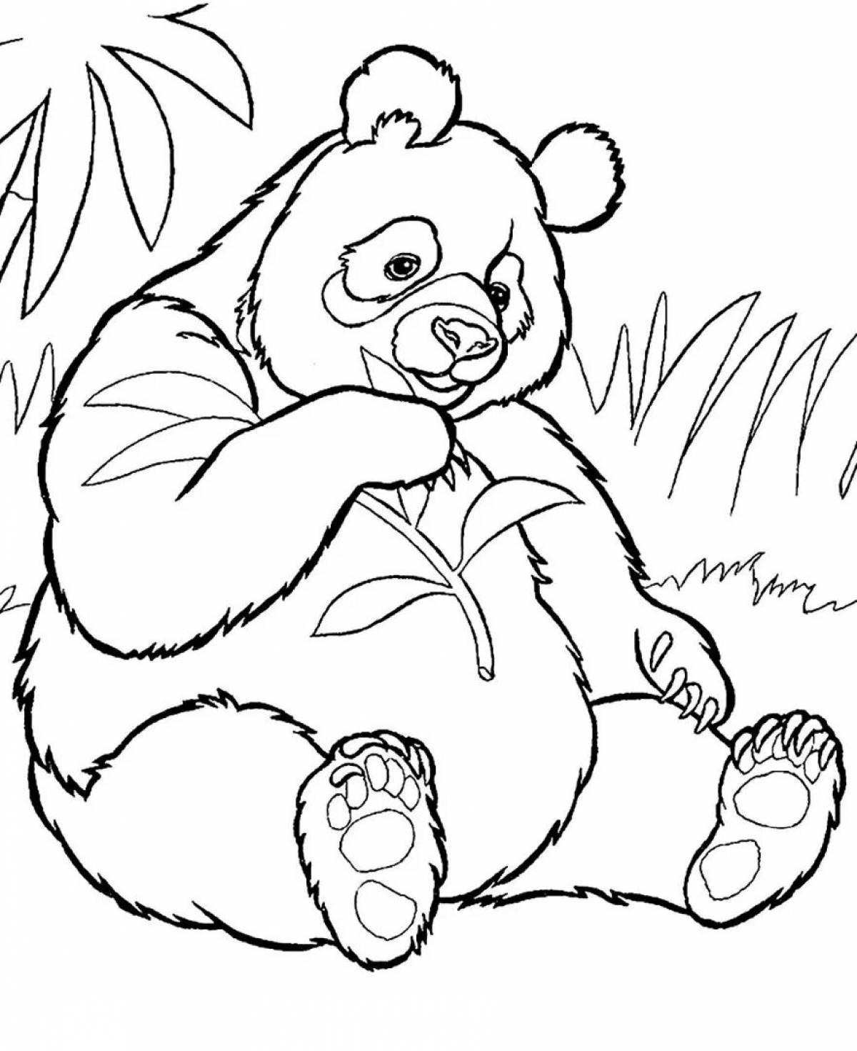 Panda bear #2
