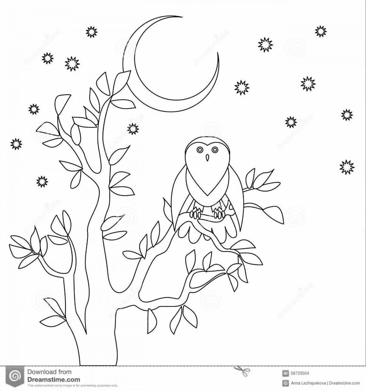 Bianca owl shiny coloring book