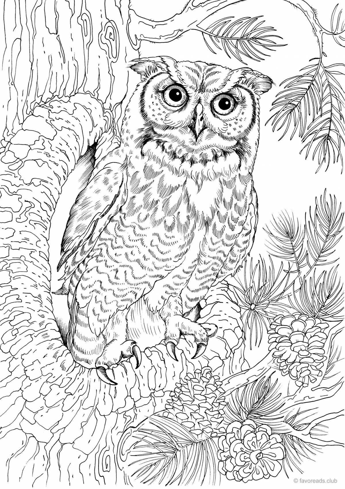 Bianca owl coloring page