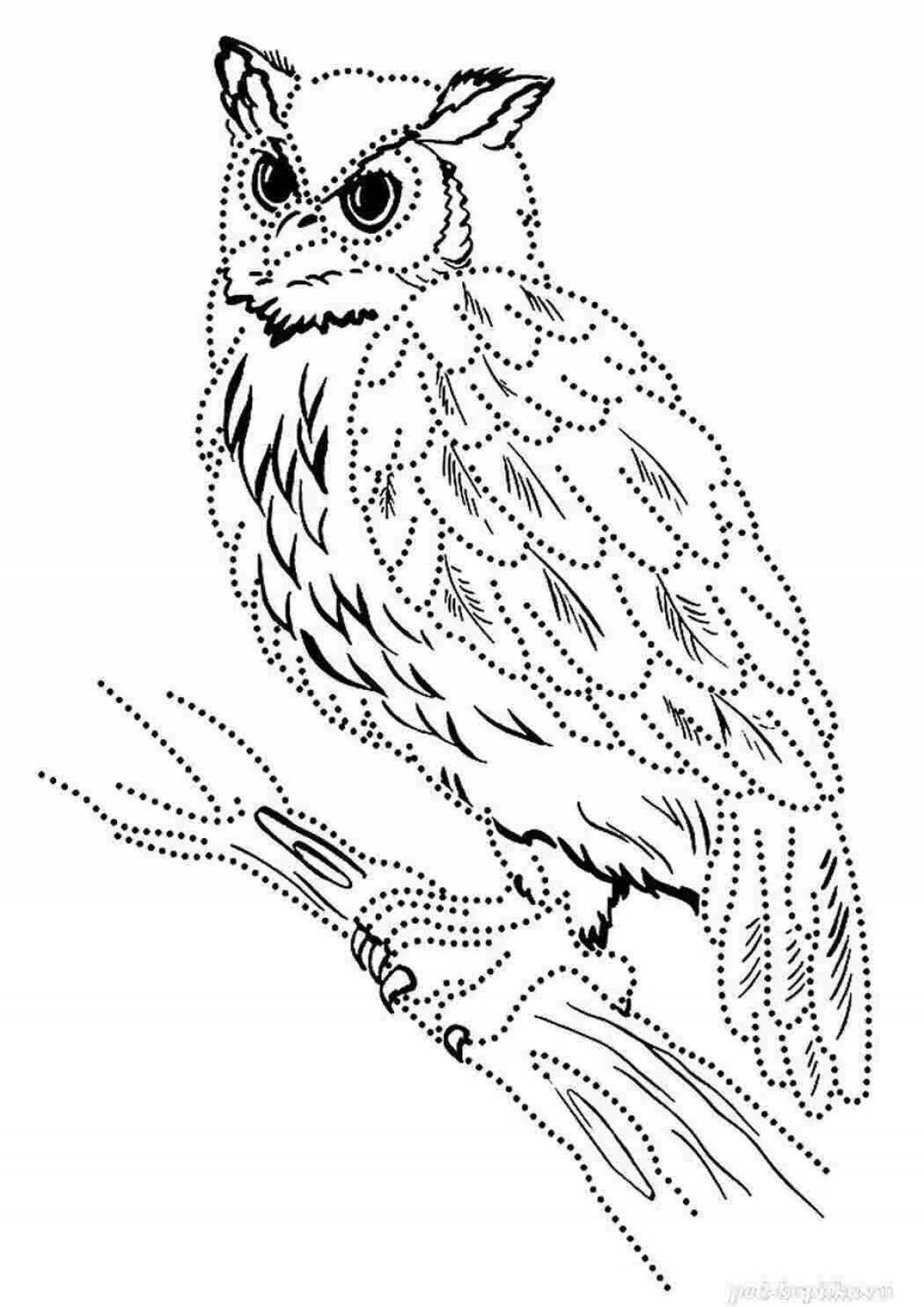 Fancy coloring owl bianca
