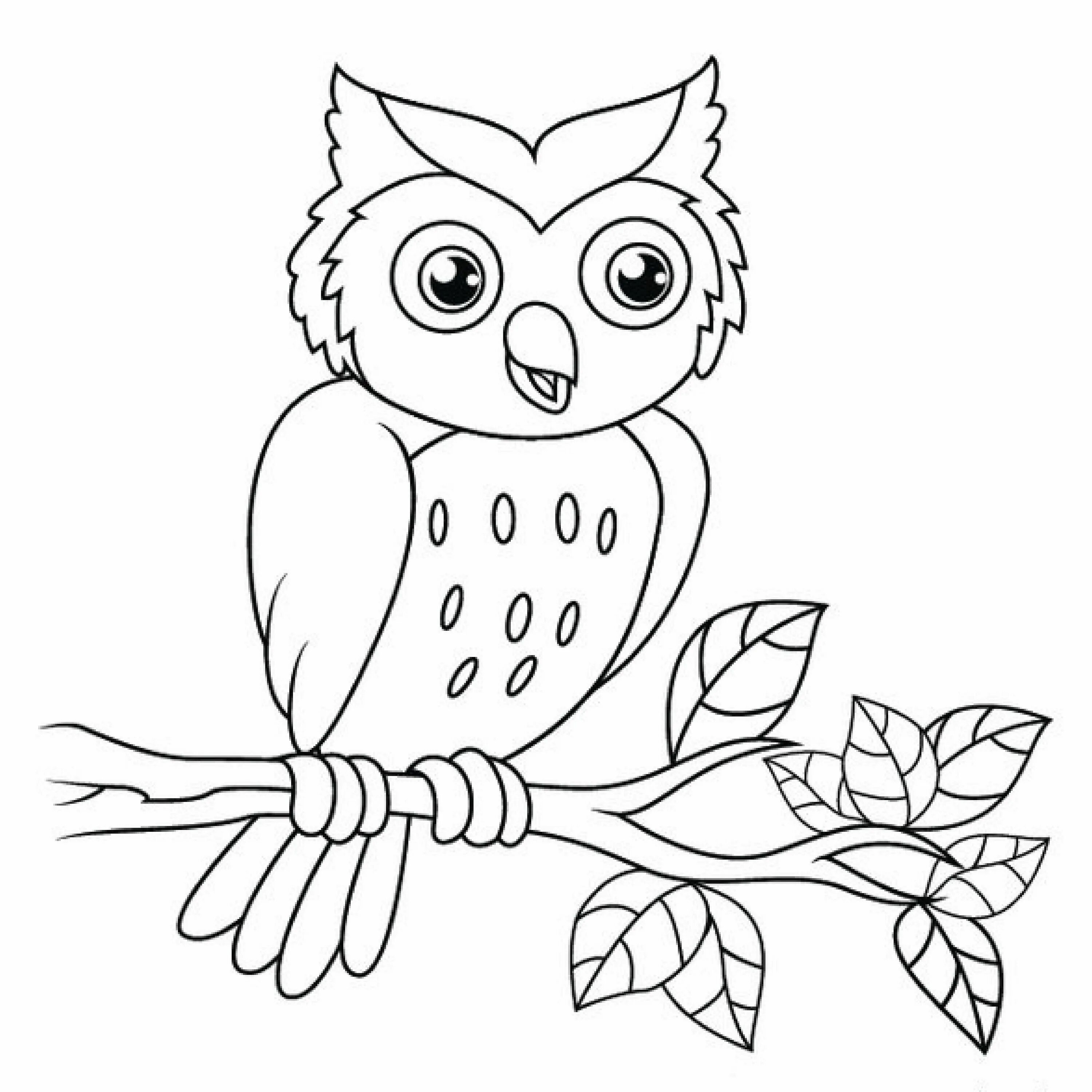 Bianca owl mystical coloring page