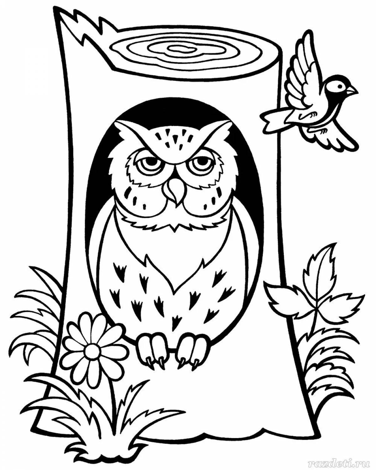Coloring sublime owl bianca