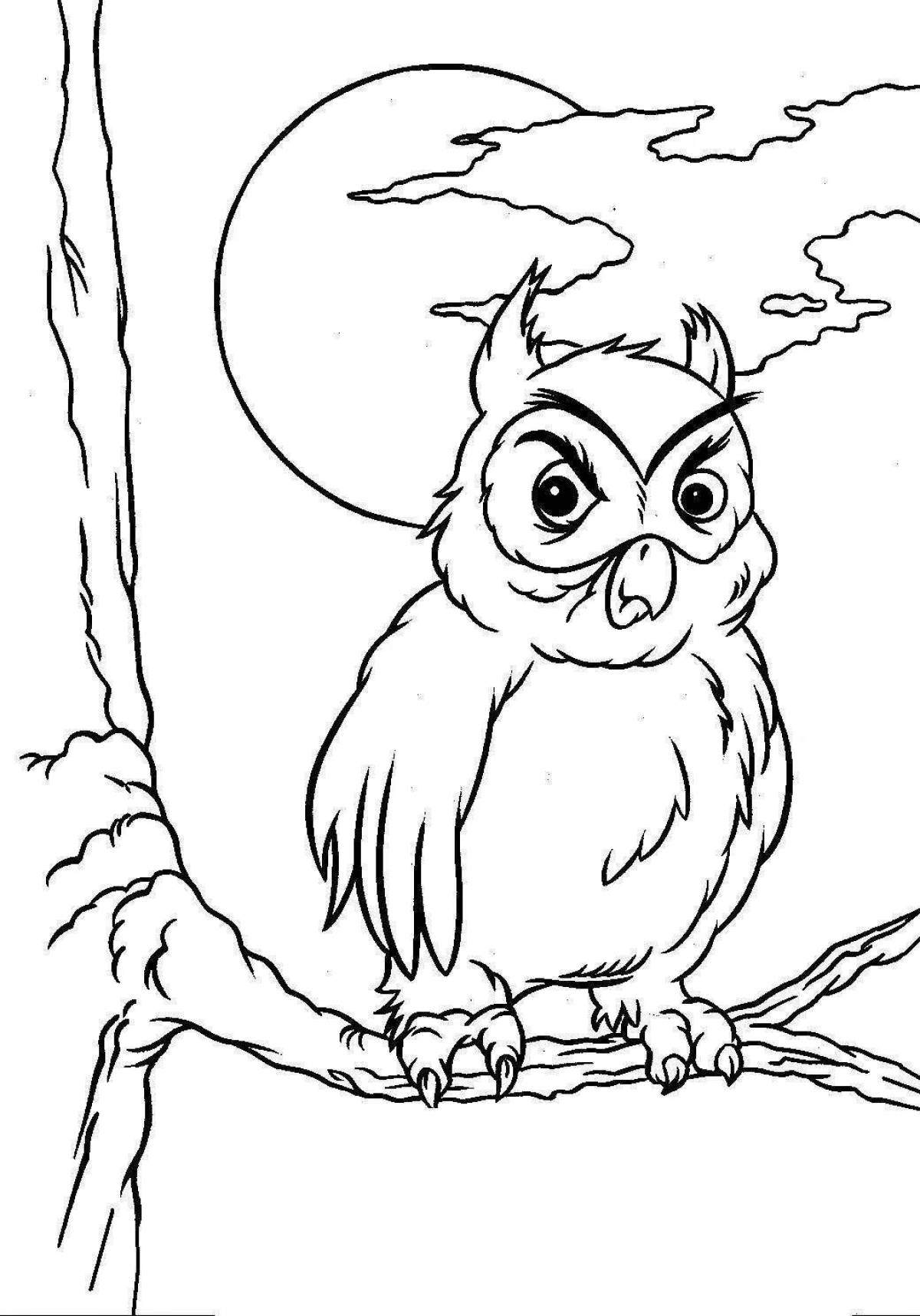 Wonderful coloring owl bianca