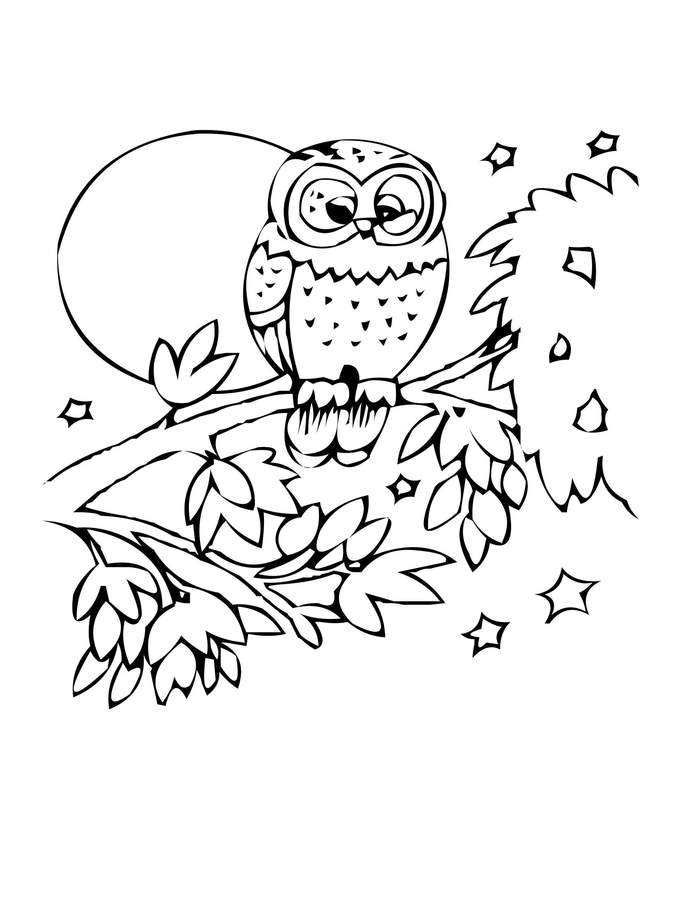 Bianca owl deluxe coloring book