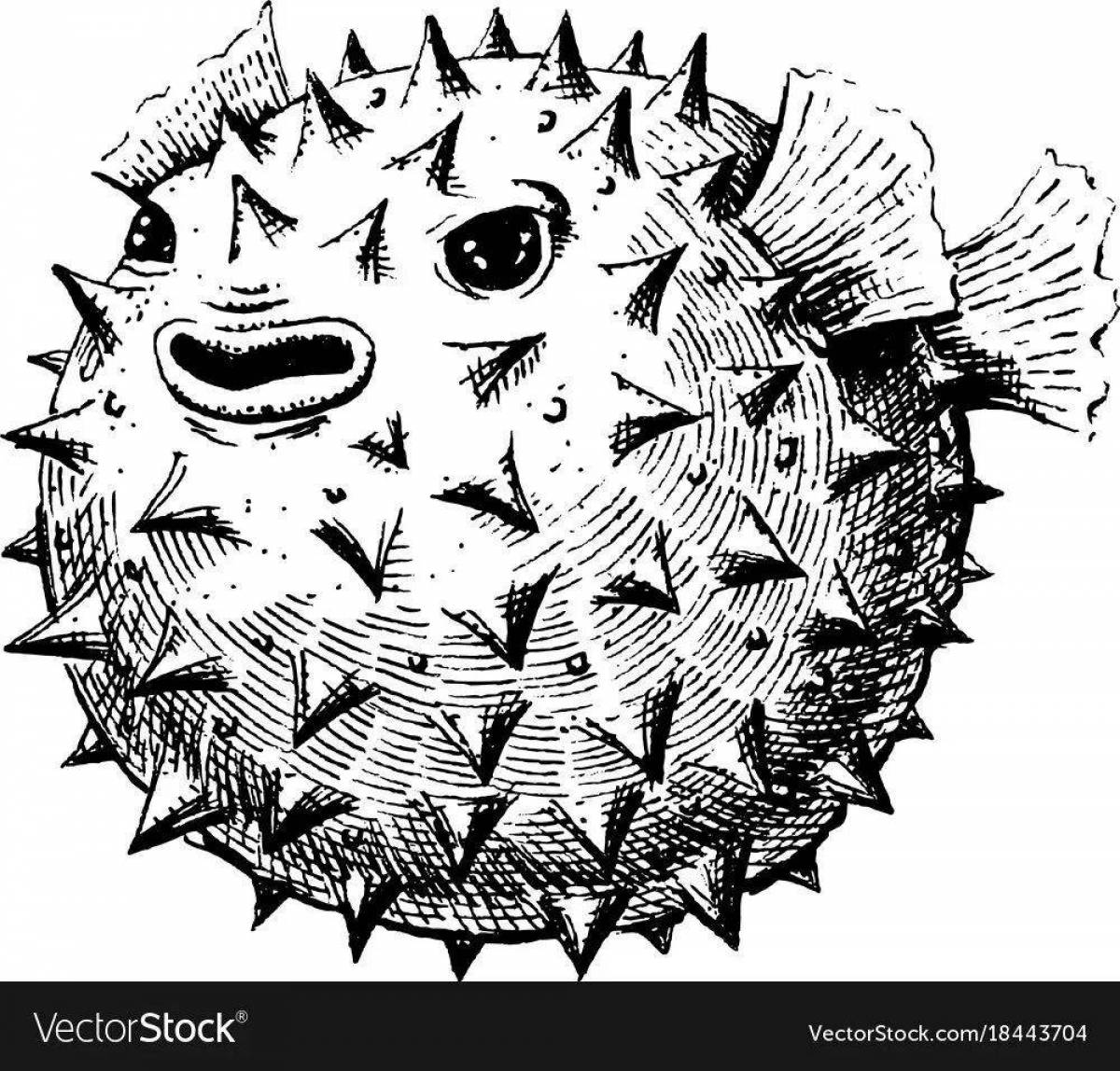 Playful coloring hedgehog fish