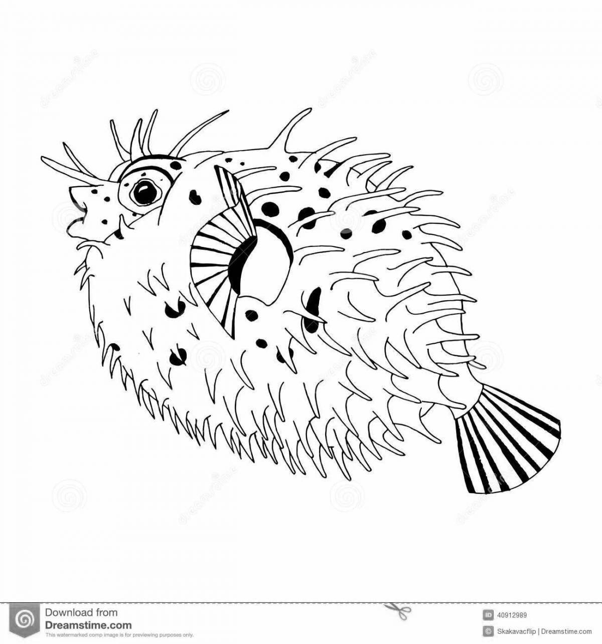 Shiny coloring hedgehog fish