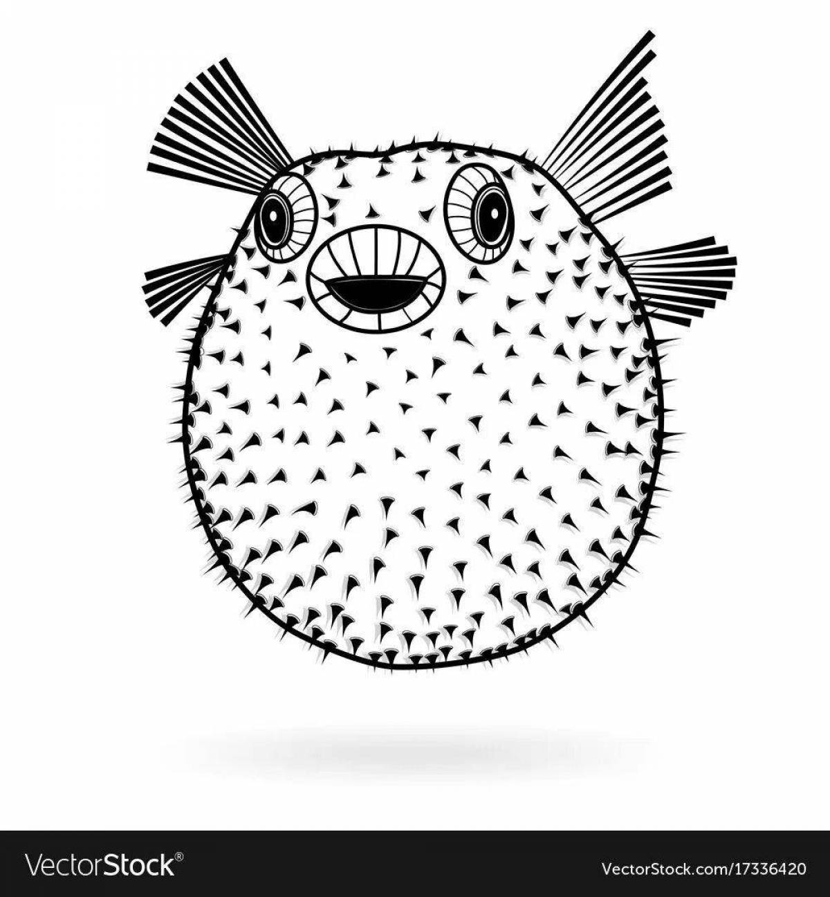 Beautiful coloring hedgehog fish