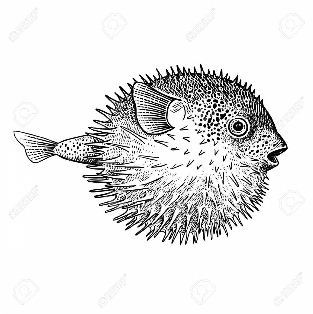 Cute fish hedgehog coloring book