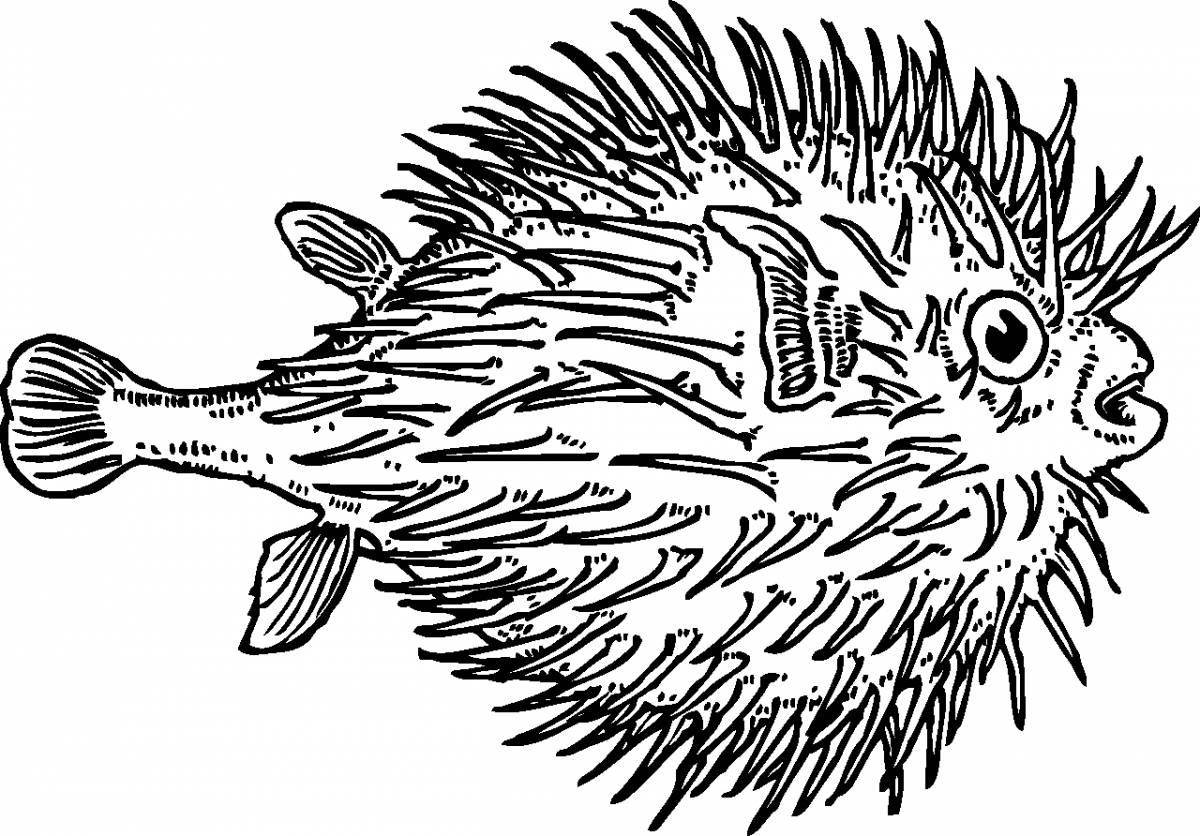 Fantastic coloring hedgehog fish