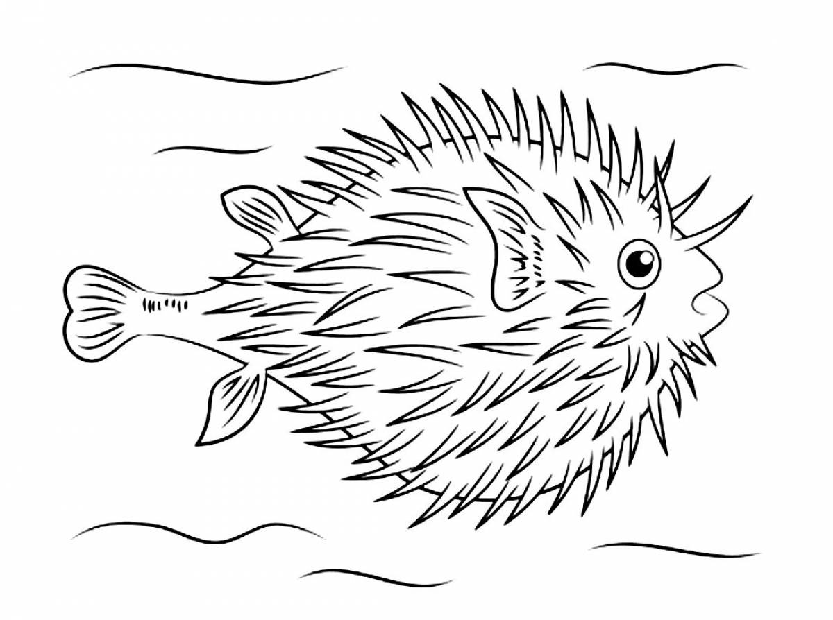 Incredible hedgehog fish coloring book