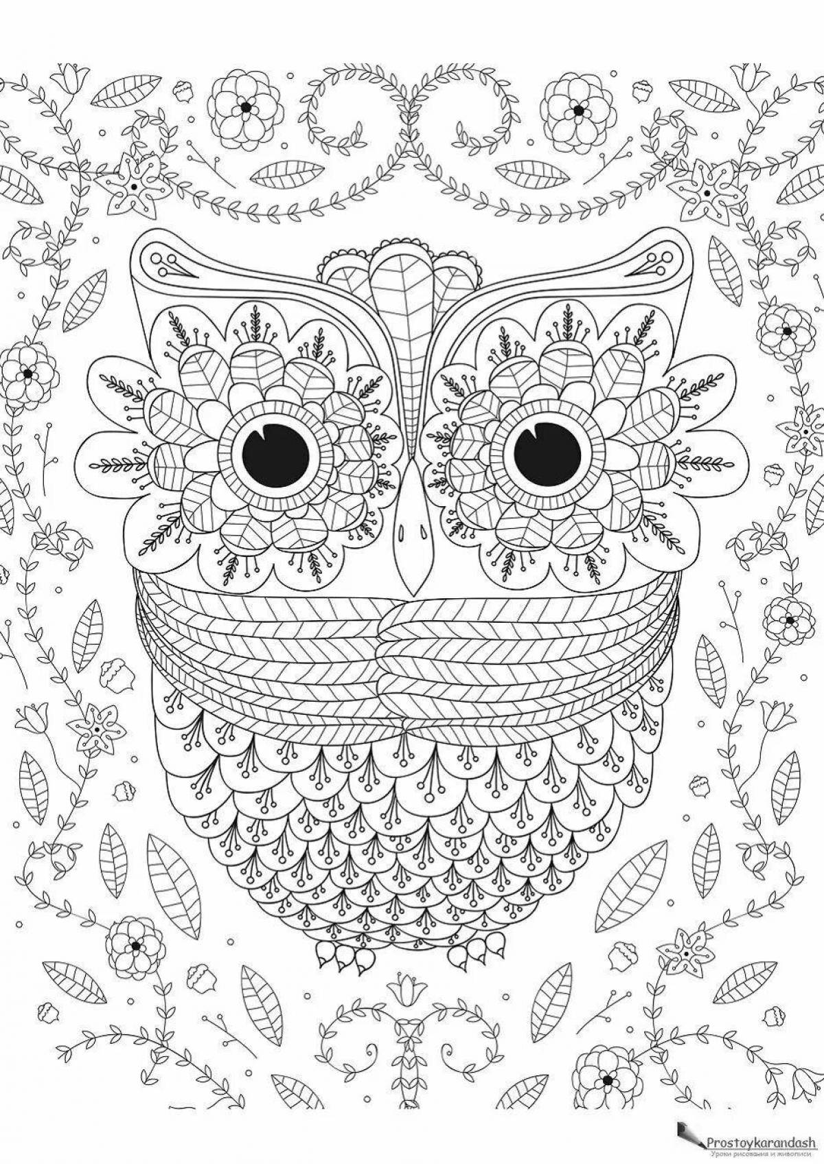 Coloring book exquisite anti-stress owls