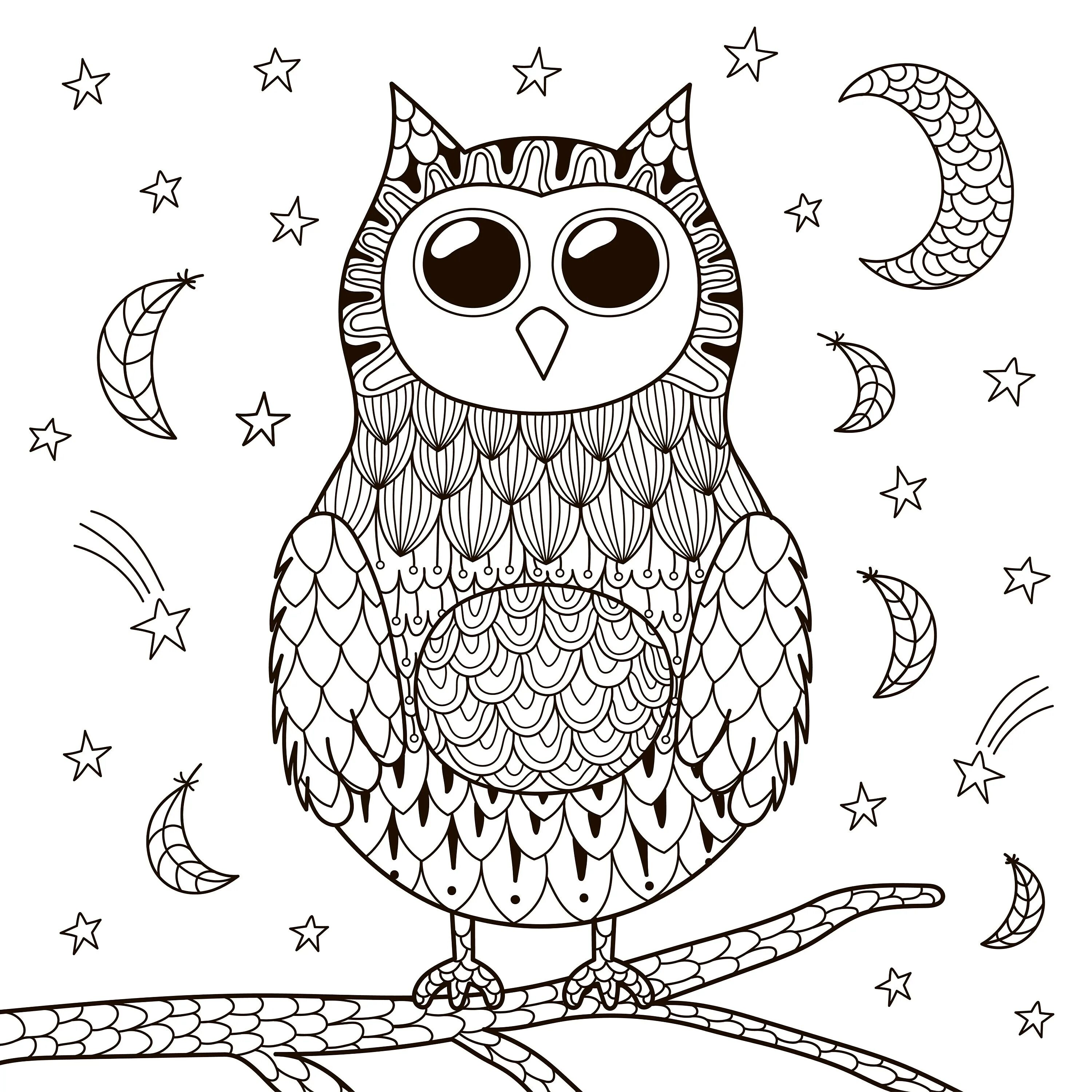 Coloring live anti-stress owls