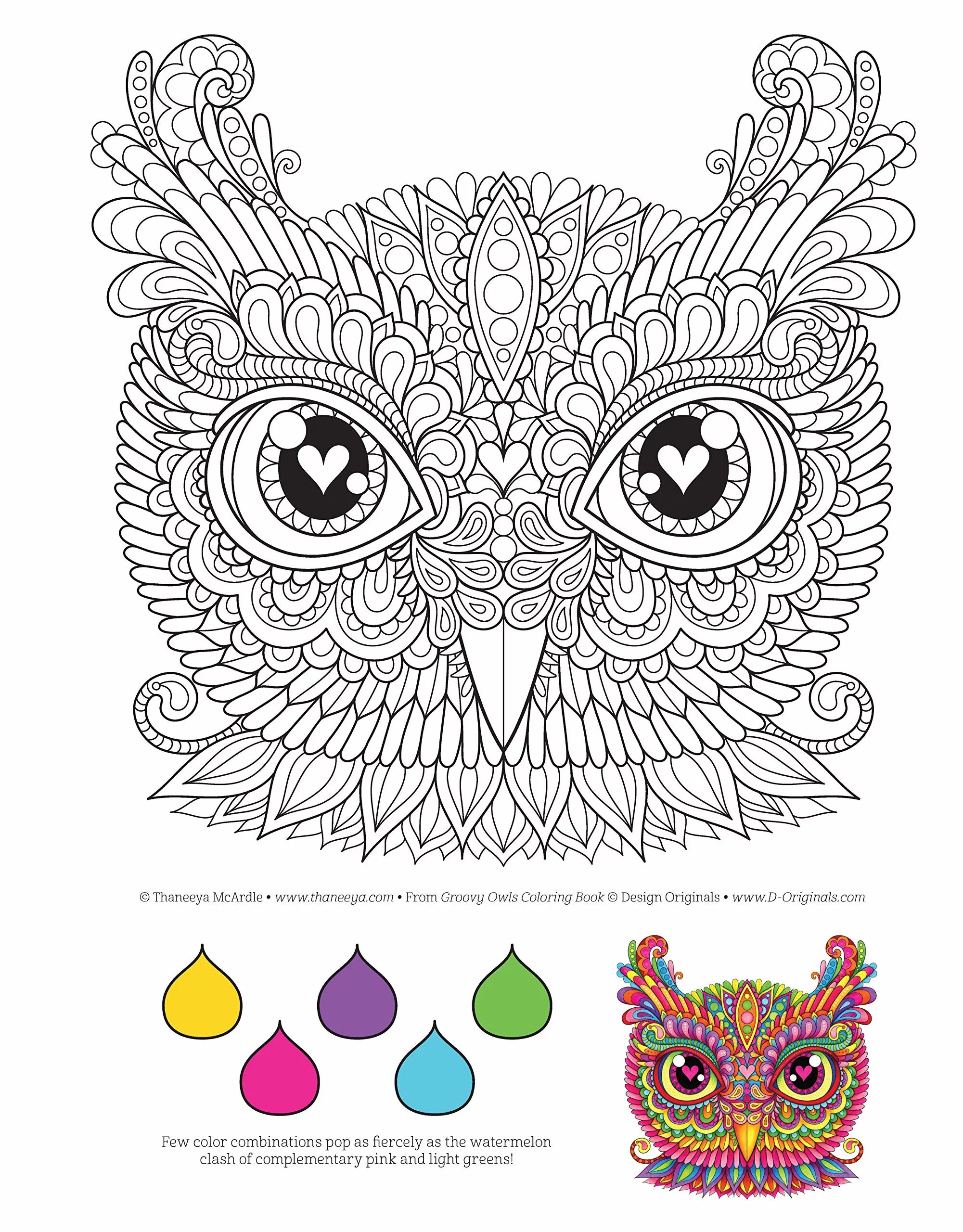 Coloring book animated anti-stress owls