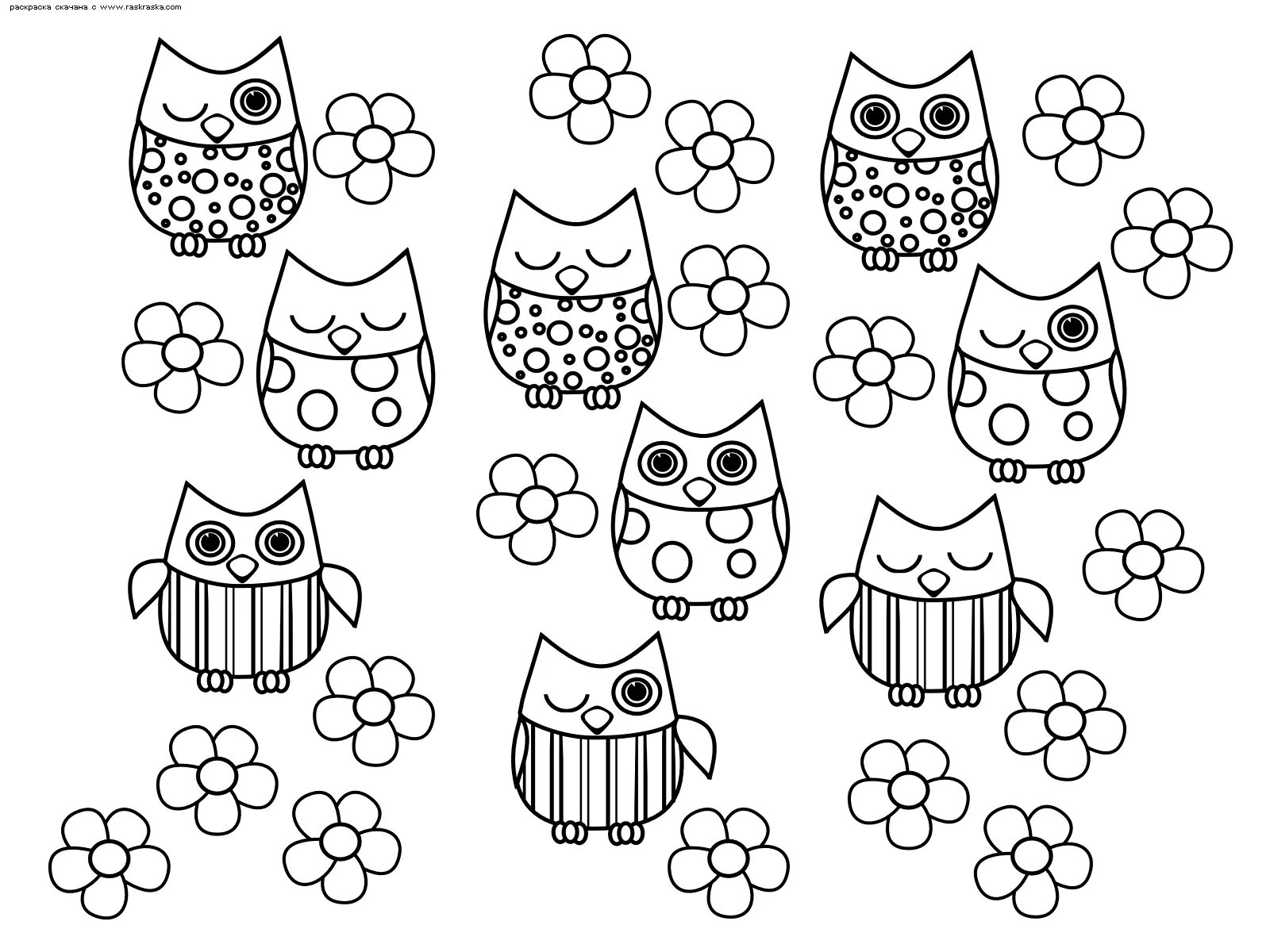 Exciting anti-stress owl coloring pages