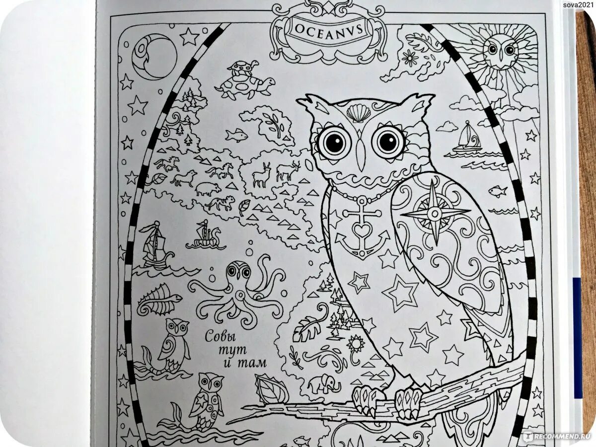 Coloring book magical anti-stress owls