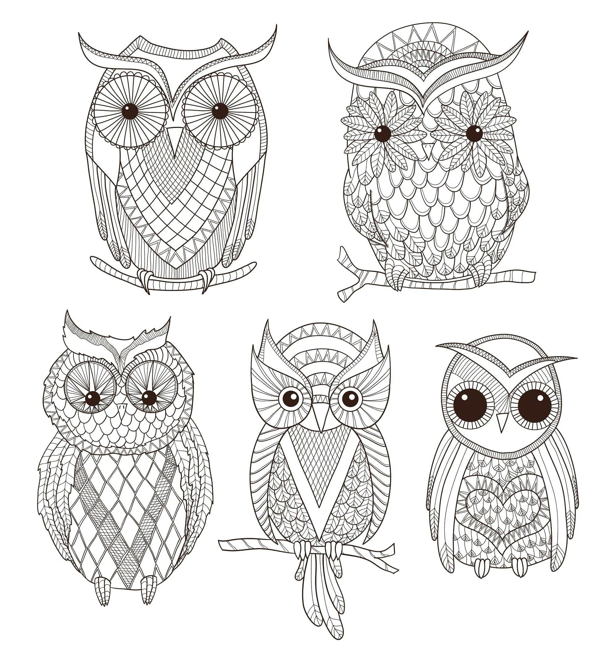 Coloring dreamy anti-stress owls