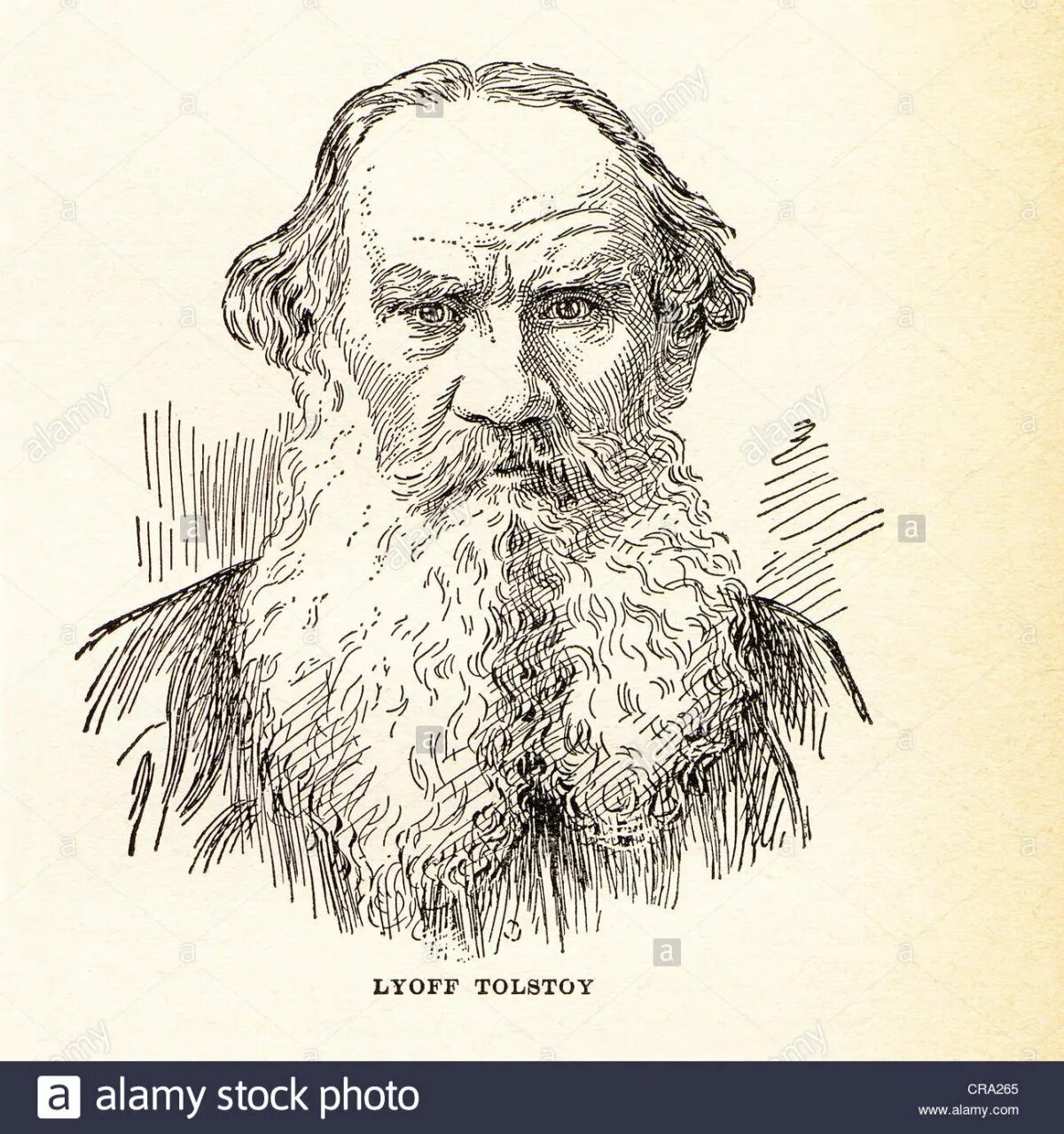 Photo Cute fat lion coloring book