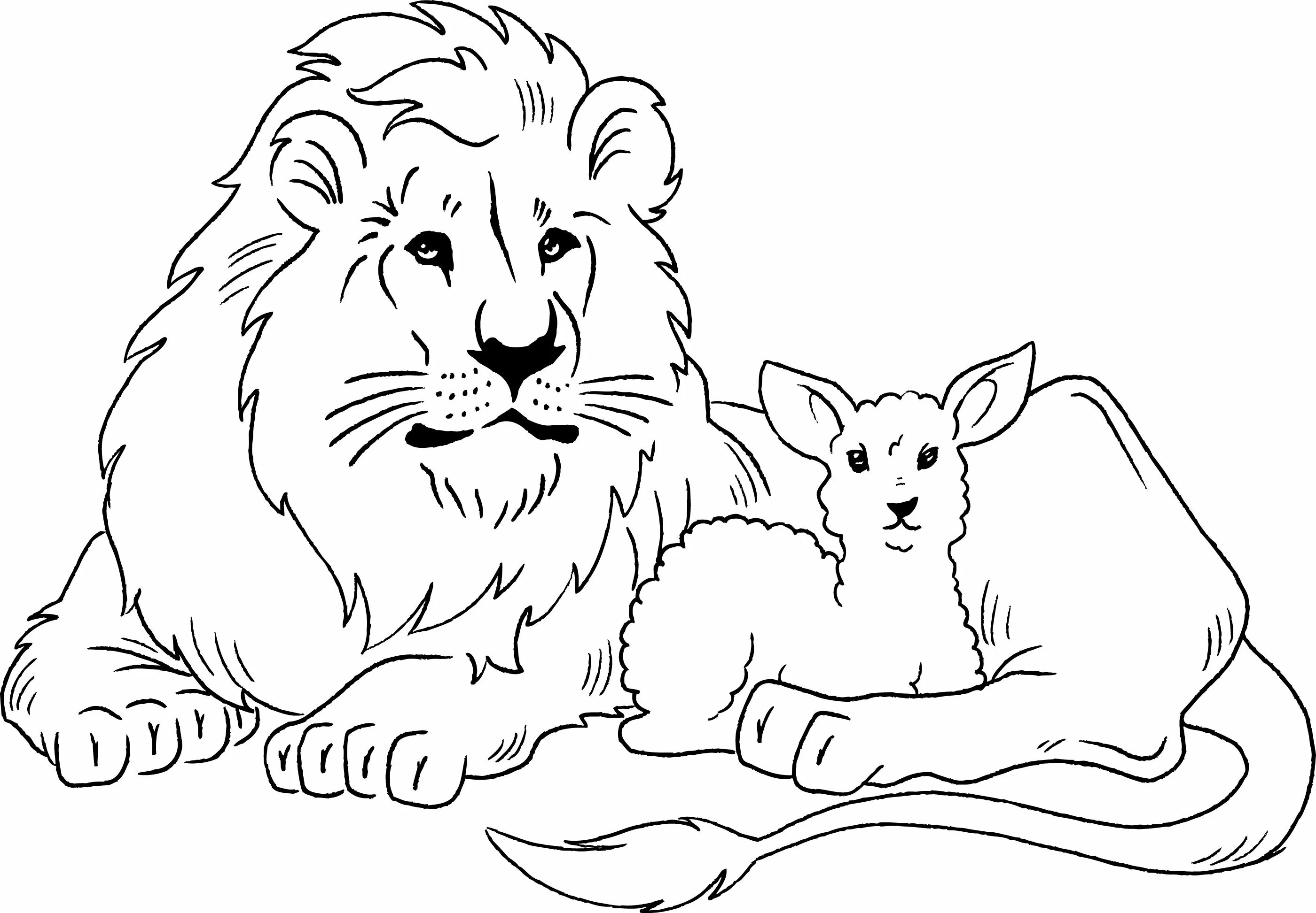 Colouring serene lion thick