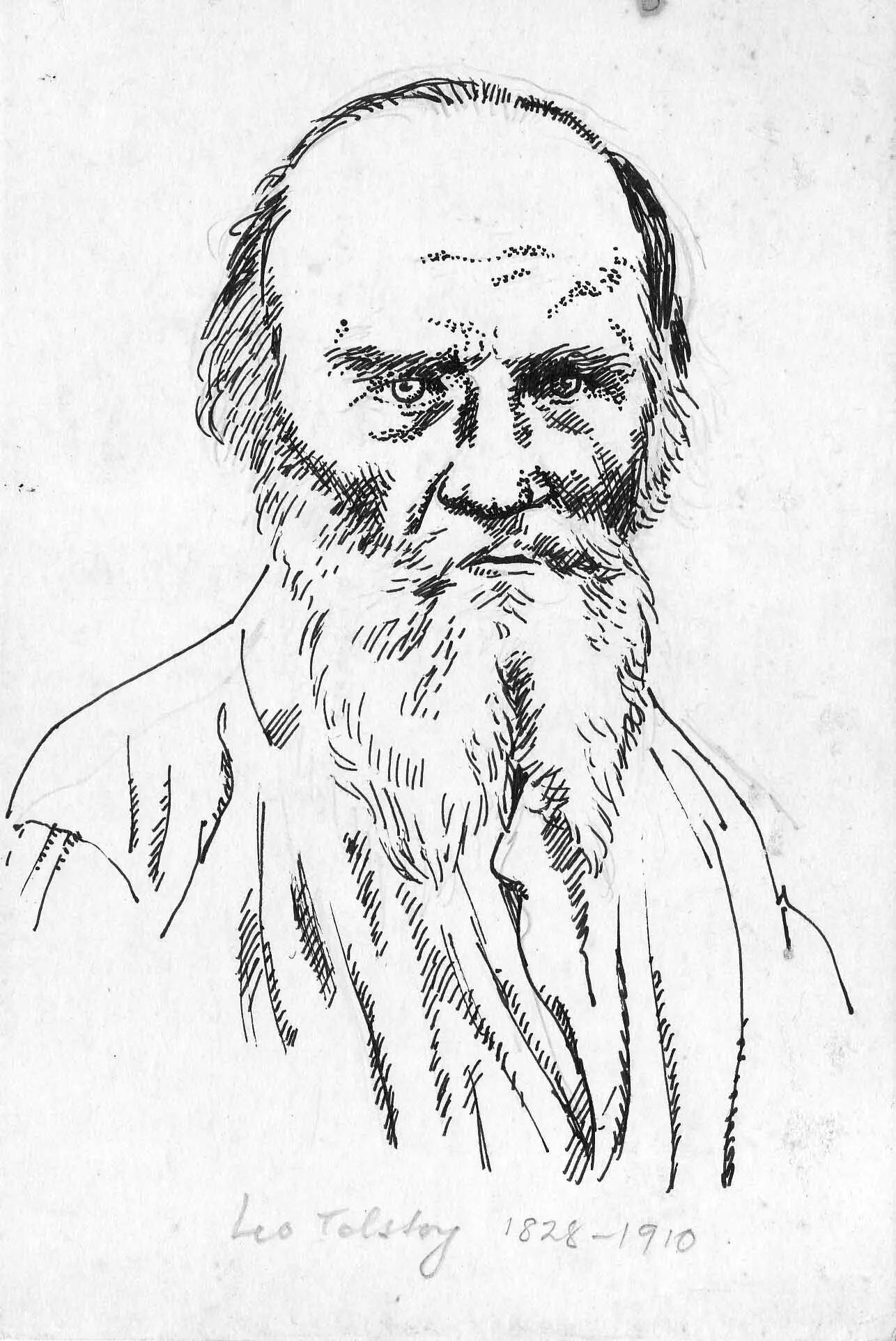Портрет Льва Николаевича Толстого зарисовка