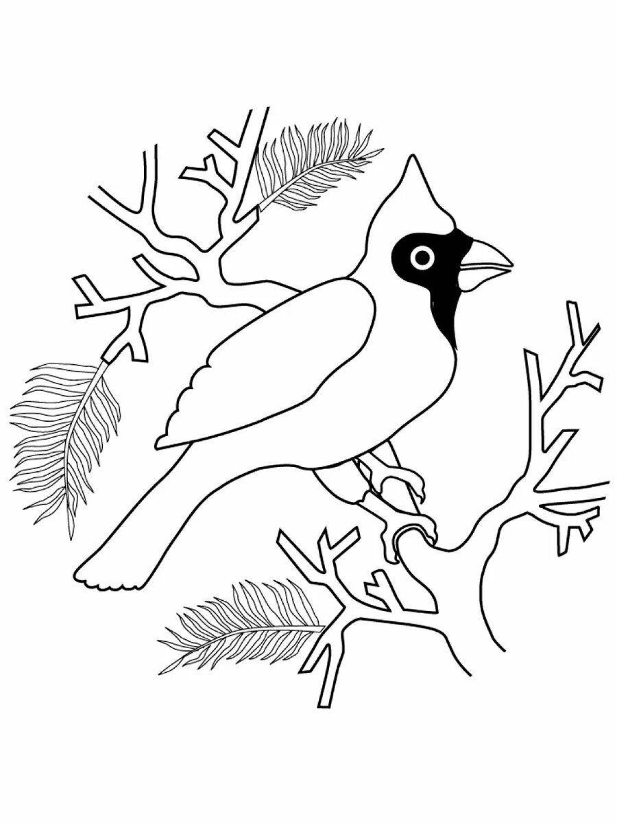 Coloring book shining winter birds