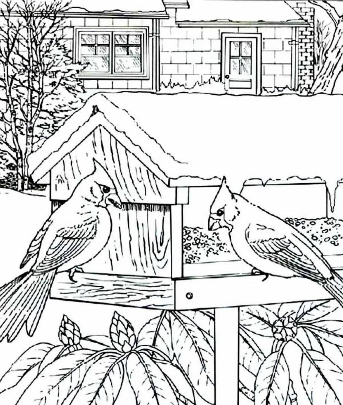Coloring page festive winter birds