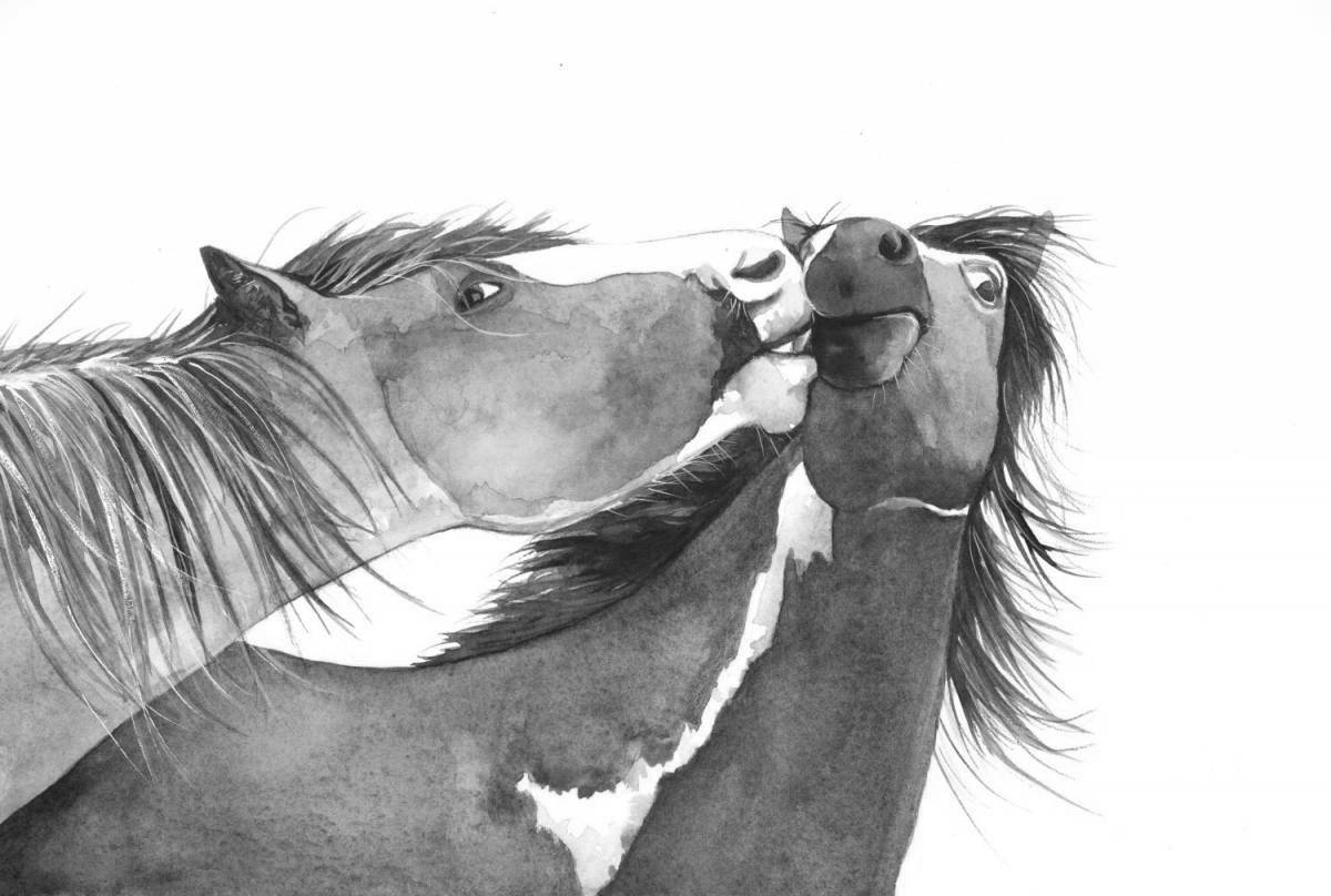 Amazing horse name coloring book