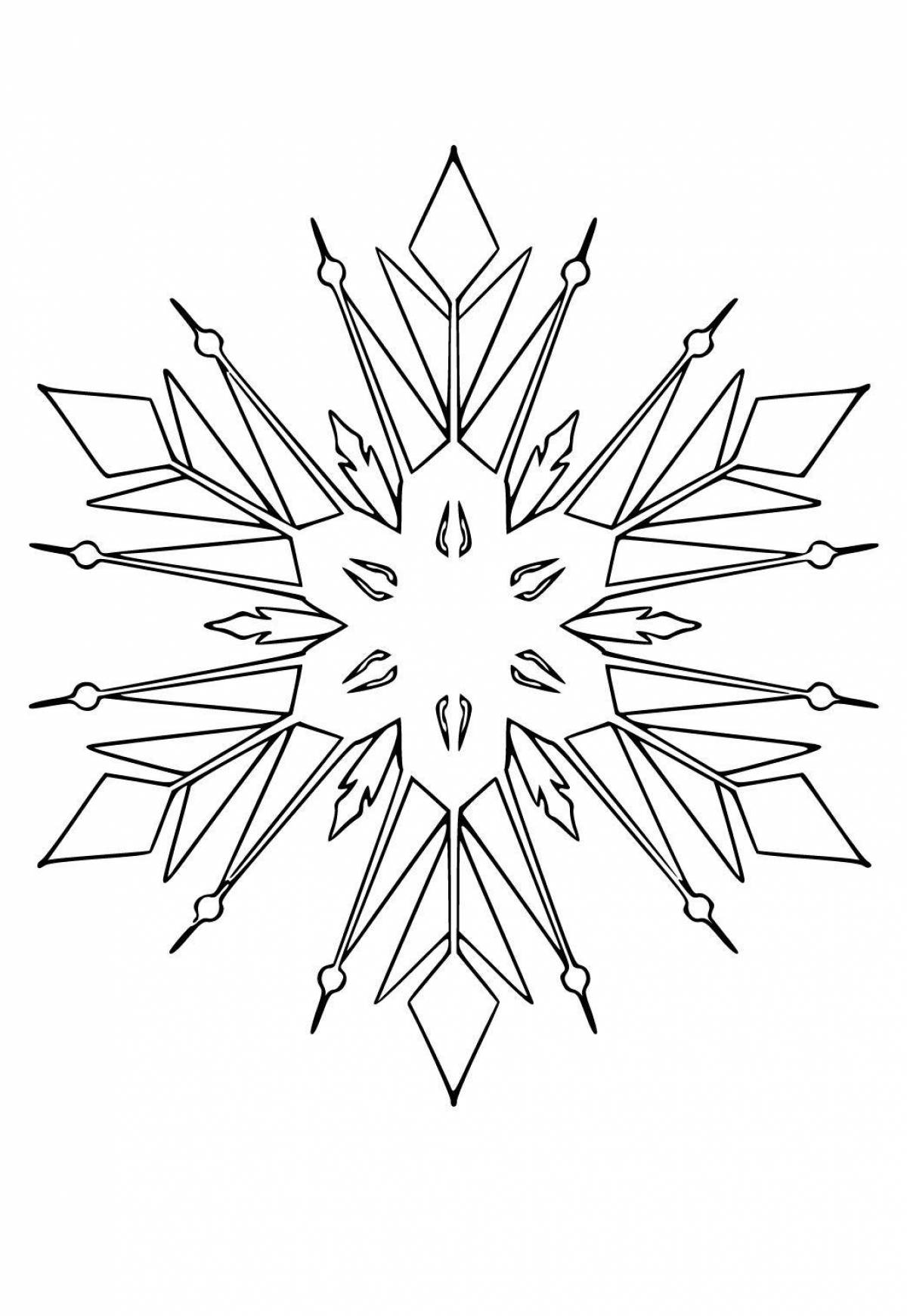 Fine snowflake coloring book