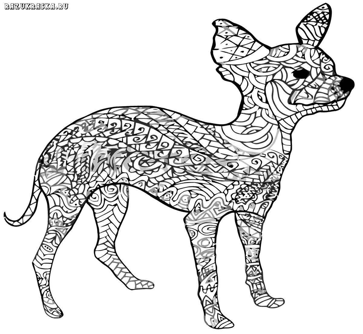 Bright dog antistress coloring book