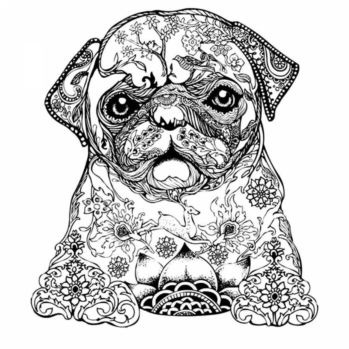Coloring book magnetic dog antistress