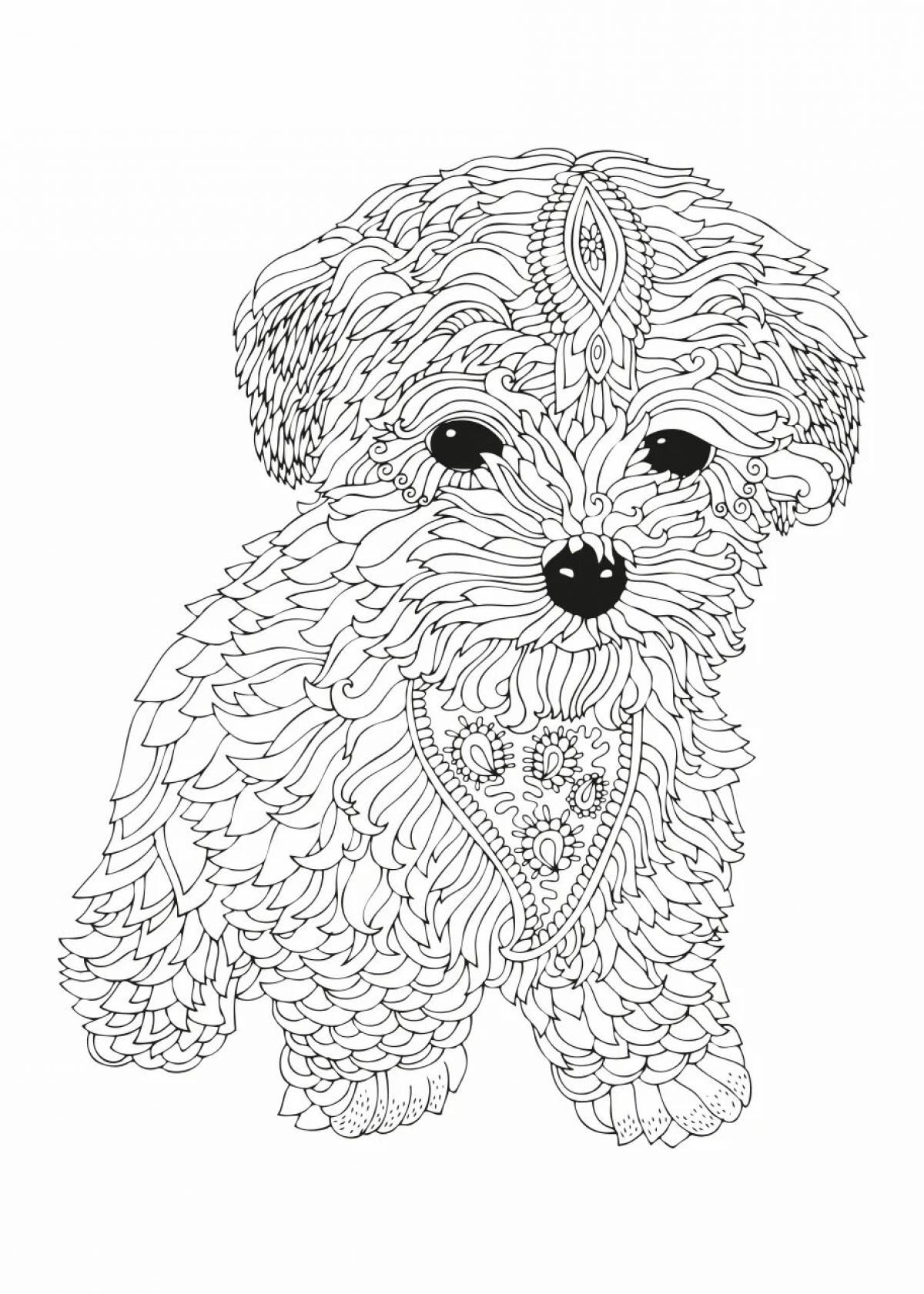 Hypnotic doggy antistress coloring book