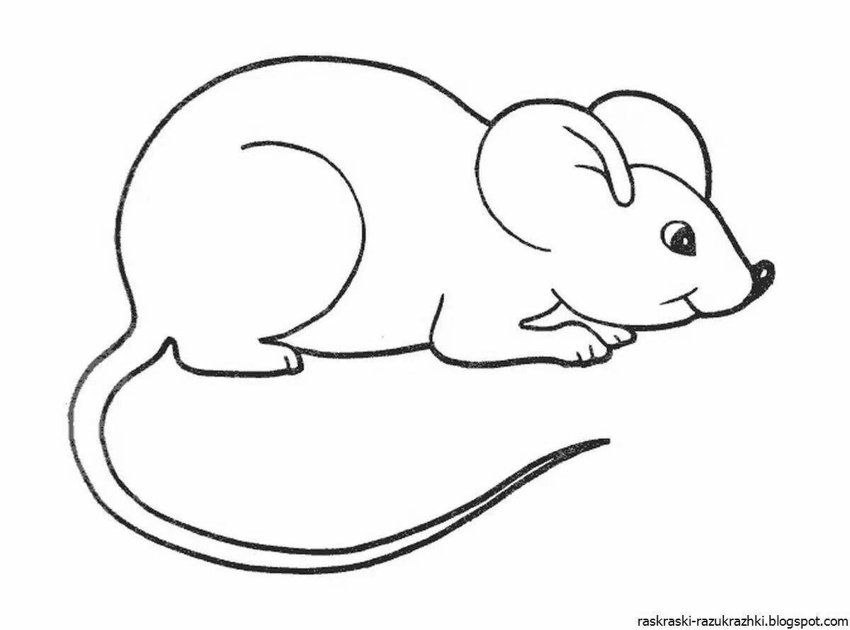 Colorful mouse coloring page