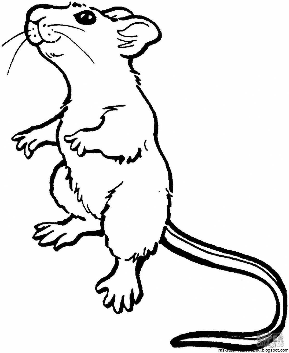 Coloring page playful mouse