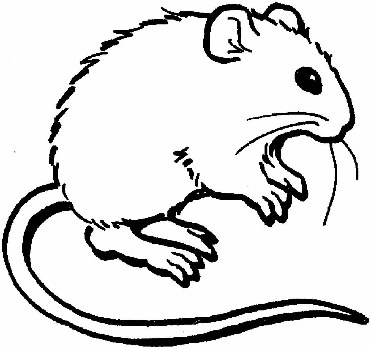 Cute mouse coloring book