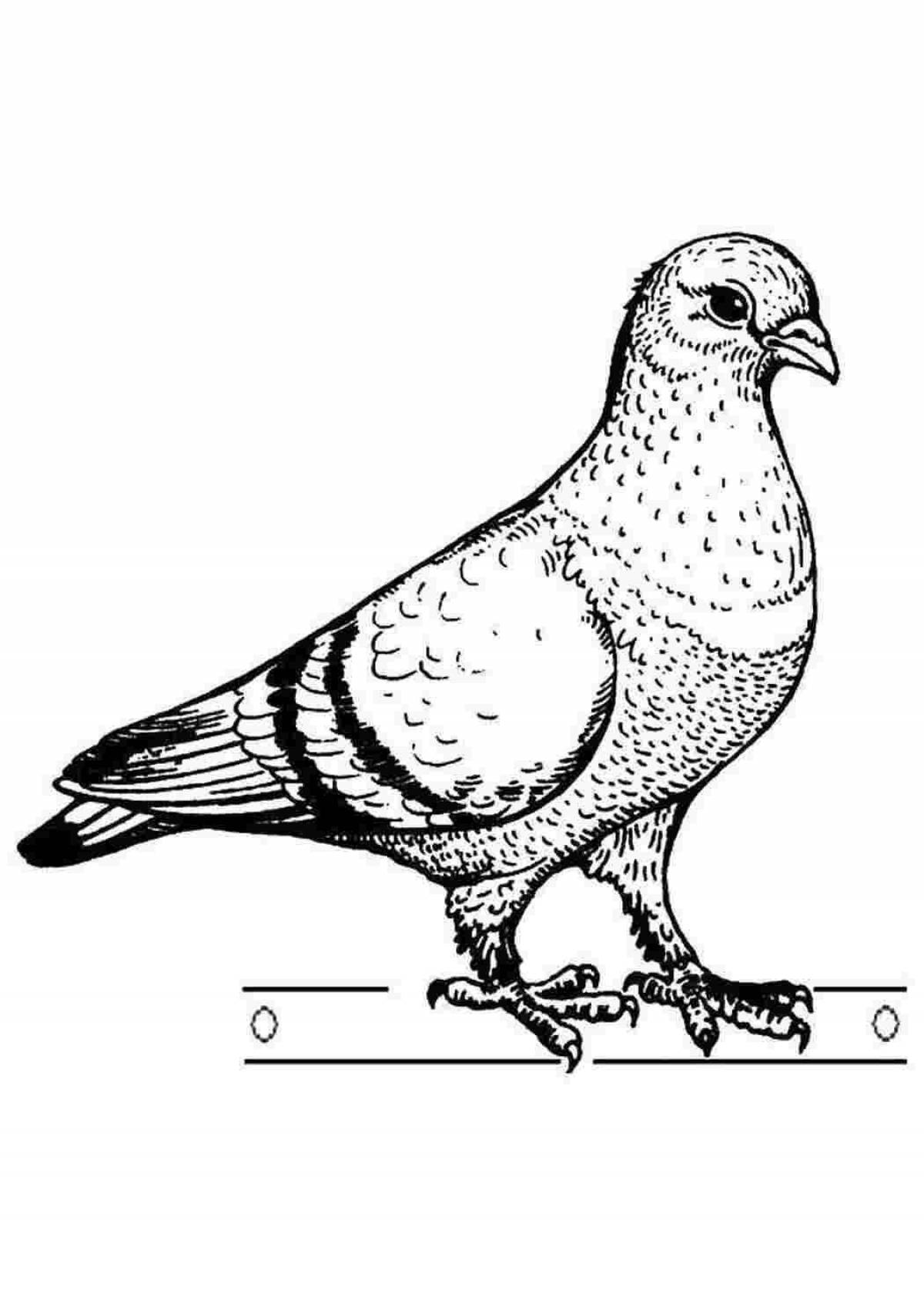 Detailed coloring of bird structure