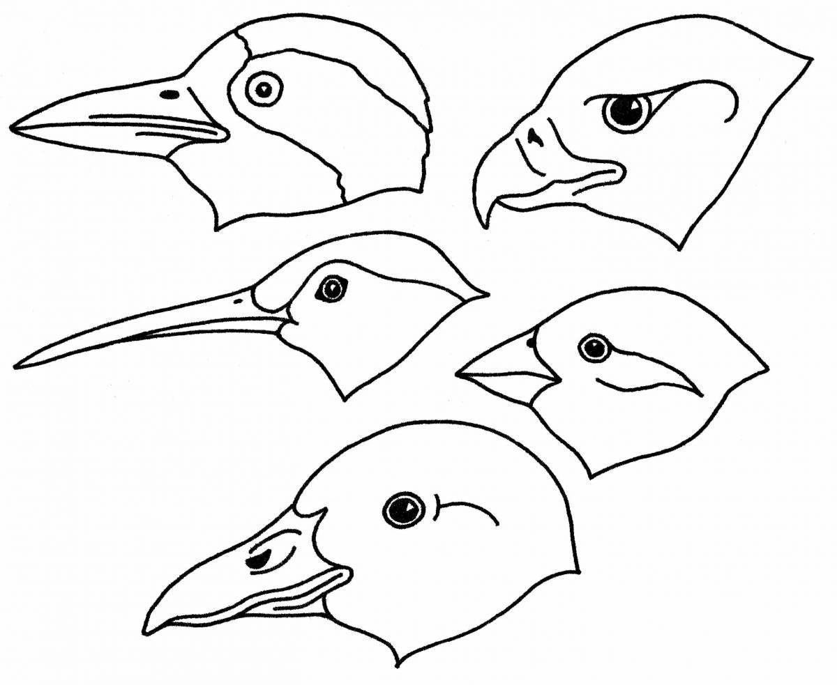 Увлекательная структура раскраски птицы