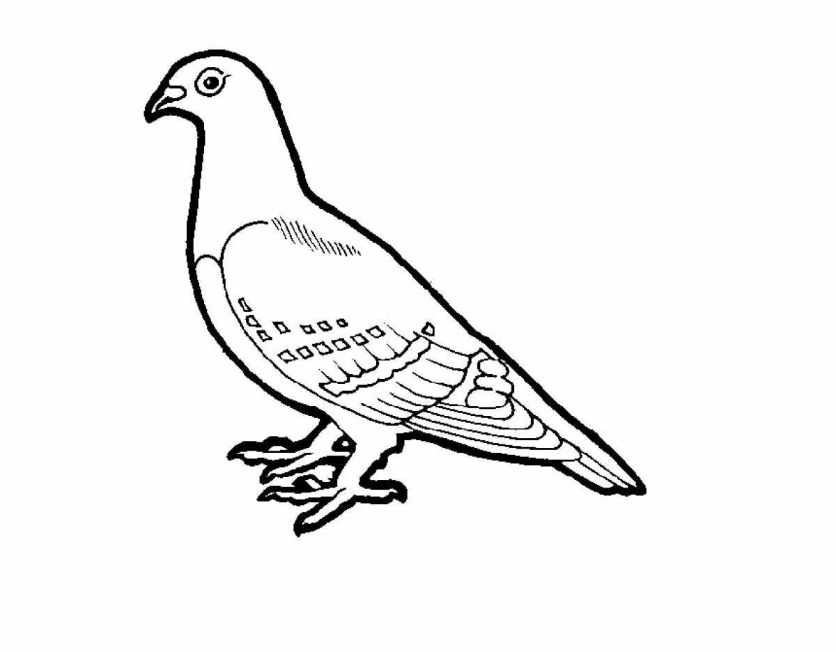 Radiant coloring page bird structure