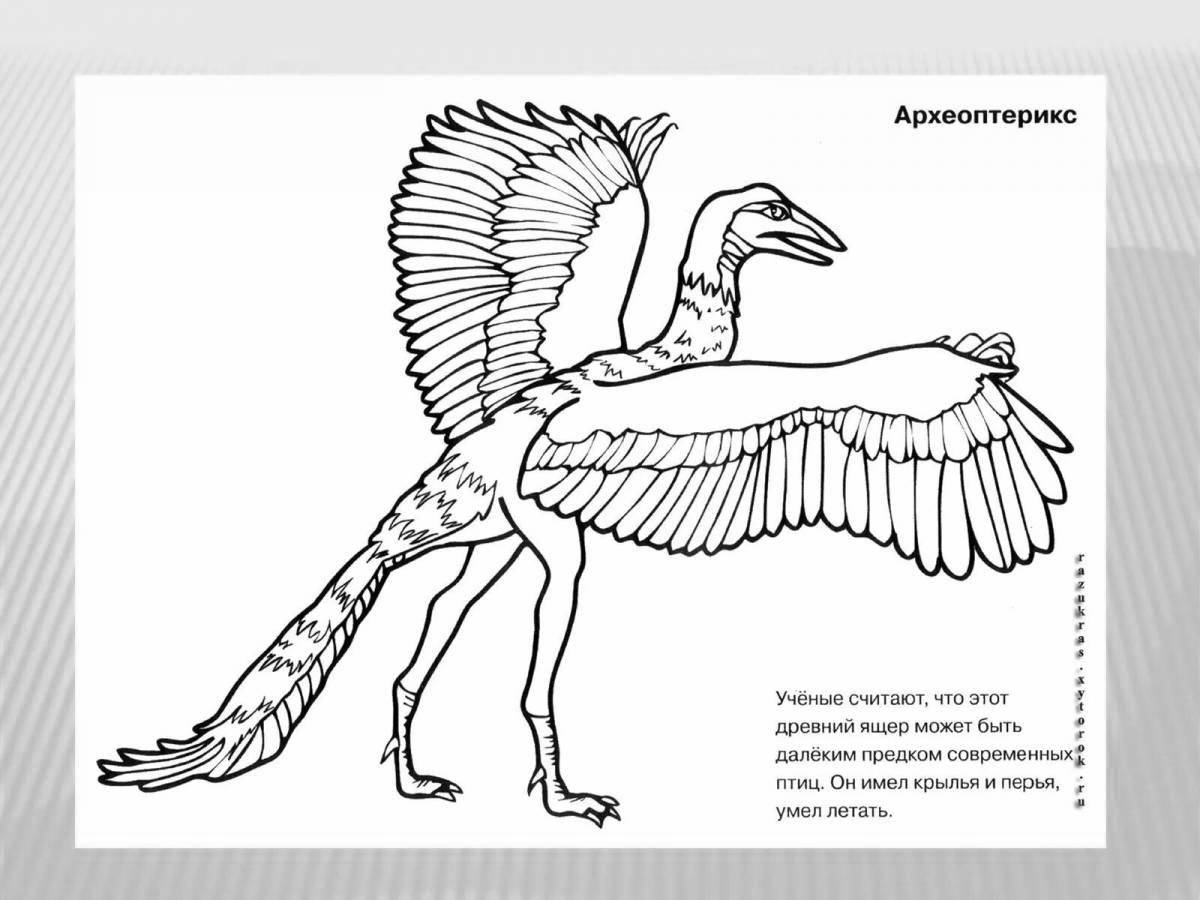 Amazing bird structure coloring book