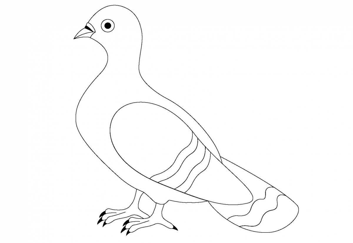 Beautiful bird structure coloring book