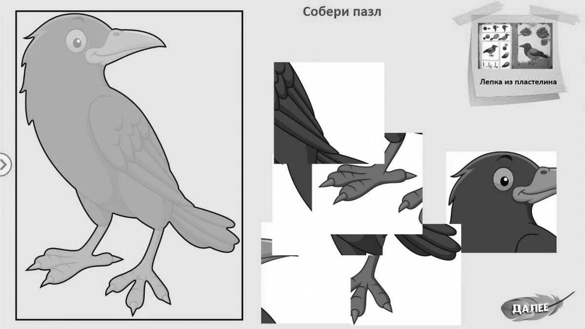 Элегантная структура раскраски птицы