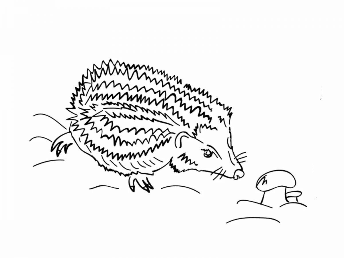 Delightful Prishvin hedgehog coloring book