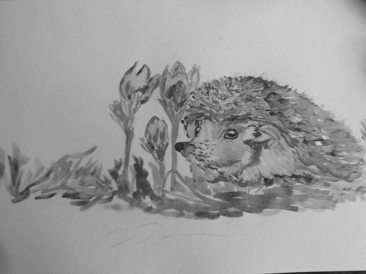 Coloring page charming Prishvin hedgehog